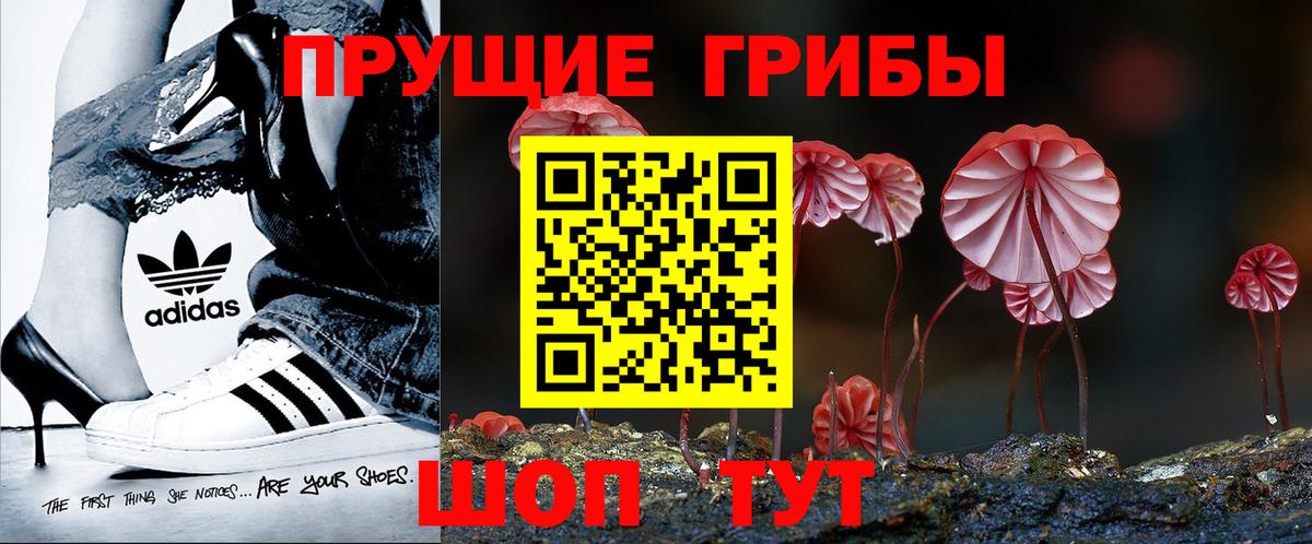 Урай  Псилоцибиновые грибы MAGIC MUSHROOMS  Вход с VPN 